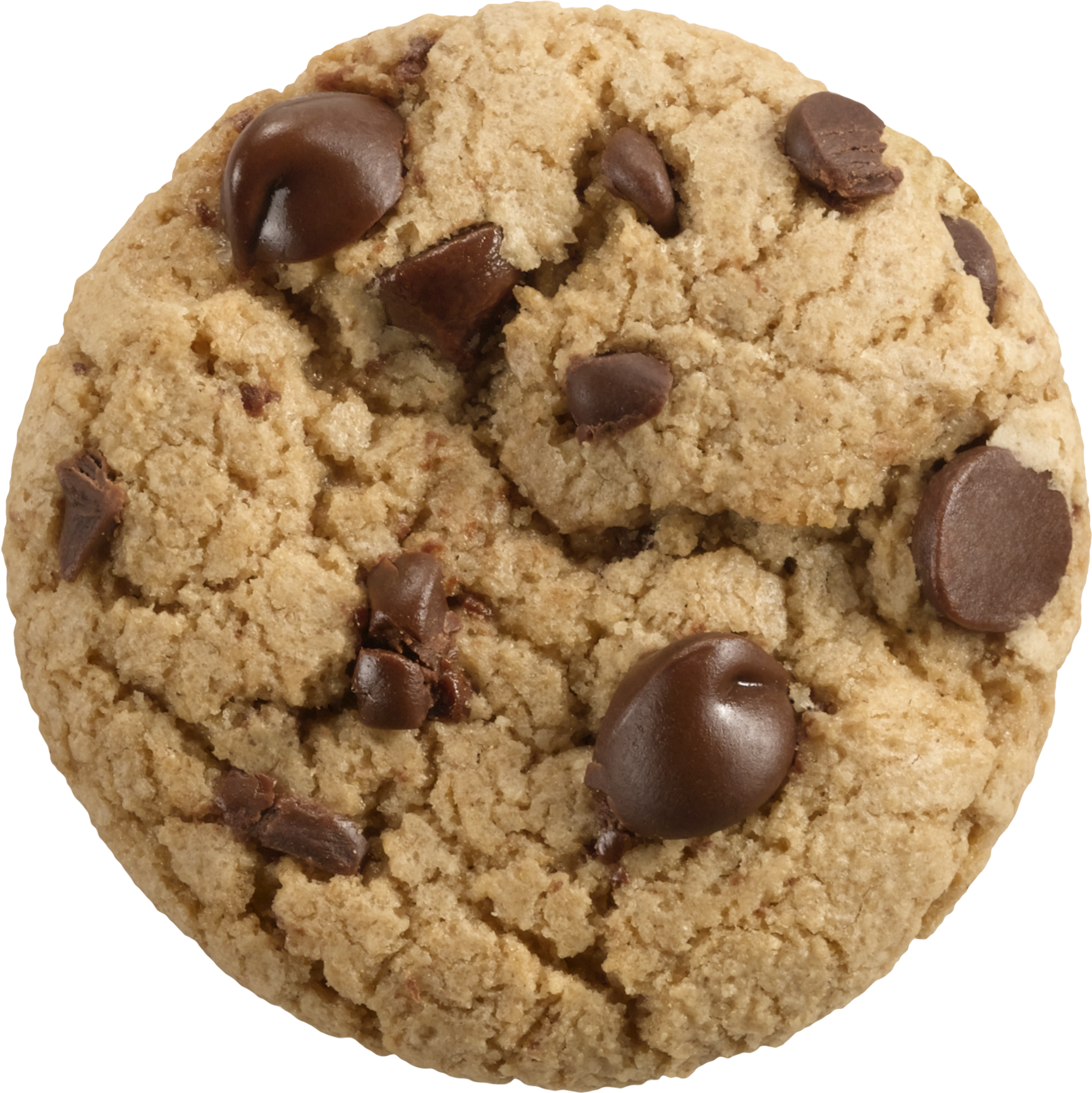 cookie-icon_gsm_cookie_caramelseasaltchocchip_wholejpg